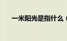 一米阳光是指什么（什么是一米阳光）
