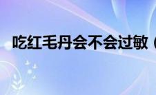吃红毛丹会不会过敏（吃红毛丹会上火吗）