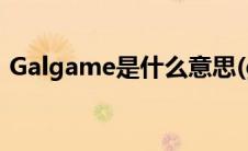Galgame是什么意思(galgame是什么意思)