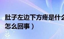肚子左边下方疼是什么情况（肚子左边下方疼怎么回事）