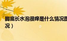 脚底长水泡很痒是什么情况图片（脚底长水泡很痒是什么情况）