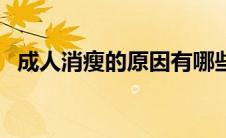 成人消瘦的原因有哪些（瘦的原因有哪些）