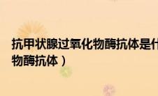 抗甲状腺过氧化物酶抗体是什么意思（什么是甲状腺过氧化物酶抗体）