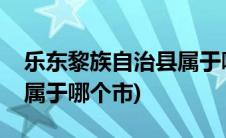 乐东黎族自治县属于哪个省(乐东黎族自治县属于哪个市)