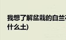 我想了解盆栽的白兰花怎么种(白兰花盆栽用什么土)