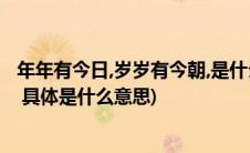 年年有今日,岁岁有今朝,是什么意思(年年有今日 岁岁有今朝 具体是什么意思)
