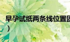 早孕试纸两条线位置固定吗（早孕试纸两条线）