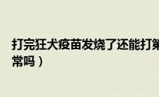 打完狂犬疫苗发烧了还能打第二针吗（打完狂犬疫苗发烧正常吗）