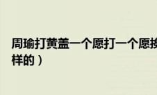 周瑜打黄盖一个愿打一个愿挨意思（周瑜打黄盖的故事是怎样的）