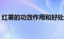 红薯的功效作用和好处（红薯的功效是什么）
