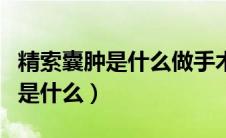 精索囊肿是什么做手术在什么位置（精索囊肿是什么）
