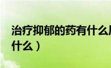 治疗抑郁的药有什么原理?（治疗抑郁的药有什么）