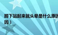 蹲下站起来就头晕是什么原因（蹲下去站起来头晕是什么原因）