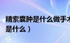 精索囊肿是什么做手术在什么位置（精索囊肿是什么）