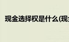 现金选择权是什么(现金选择权是什么意思)