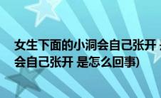 女生下面的小洞会自己张开 是怎么回事啊(女生下面的小洞会自己张开 是怎么回事)