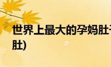 世界上最大的孕妈肚子(世界上最大的孕妇巨肚)
