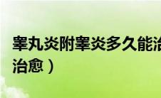 睾丸炎附睾炎多久能治愈（附睾丸炎多少天能治愈）