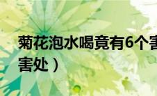 菊花泡水喝竟有6个害处（菊花泡水喝的6个害处）