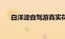 白洋淀自驾游真实花费(白洋淀自驾游)