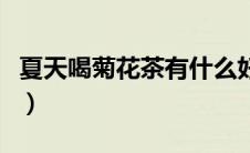 夏天喝菊花茶有什么好处（菊花茶有什么好处）