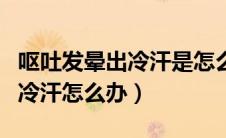 呕吐发晕出冷汗是怎么回事（突然头晕呕吐出冷汗怎么办）