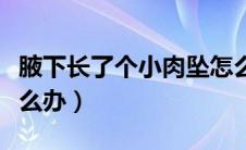 腋下长了个小肉坠怎么办（腋下里有小肉坠怎么办）