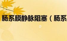 肠系膜静脉阻塞（肠系膜下动脉阻塞怎么办）