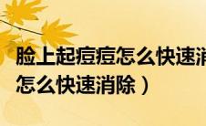 脸上起痘痘怎么快速消除小窍门（脸上起痘痘怎么快速消除）