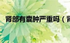 肾部有囊肿严重吗（肾里面有囊肿严重吗）