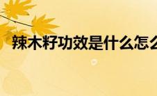 辣木籽功效是什么怎么使用（辣木籽功效）