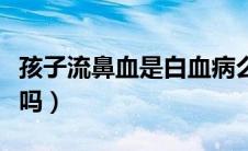 孩子流鼻血是白血病么（孩子流鼻血是白血病吗）