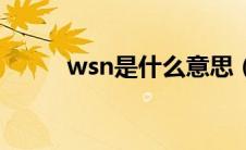 wsn是什么意思（wsn意思简述）