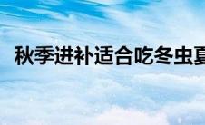 秋季进补适合吃冬虫夏草(秋季进补吃什么)