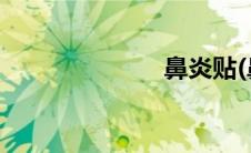 鼻炎贴(鼻炎贴)