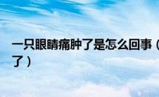 一只眼睛痛肿了是怎么回事（一只眼睛肿了还有点痛是怎么了）