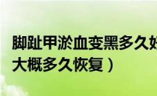 脚趾甲淤血变黑多久好（脚趾甲淤血变紫黑色大概多久恢复）