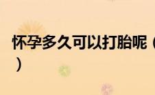 怀孕多久可以打胎呢（一般怀孕多久可以打胎）