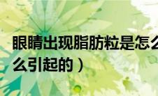 眼睛出现脂肪粒是怎么回事（眼睛脂肪粒是怎么引起的）