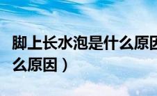 脚上长水泡是什么原因图片（脚上长水泡是什么原因）