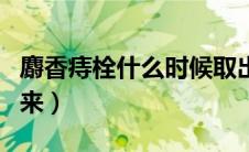 麝香痔栓什么时候取出（麝香痔疮栓多久取出来）