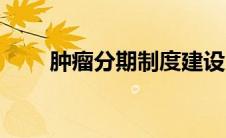 肿瘤分期制度建设（肿瘤分期几期）