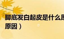 脚底发白起皮是什么原因（脚底起白皮是什么原因）