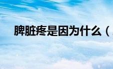 脾脏疼是因为什么（脾脏疼是什么原因）