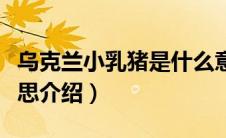 乌克兰小乳猪是什么意思（乌克兰小乳猪的意思介绍）
