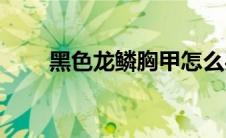 黑色龙鳞胸甲怎么买(黑色龙鳞胸甲)