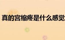 真的宫缩疼是什么感觉（宫缩疼是什么感觉）
