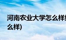 河南农业大学怎么样好不好(河南农业大学怎么样)