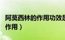 阿莫西林的作用功效是消炎药吗（阿莫西林的作用）