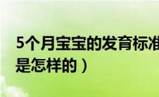 5个月宝宝的发育标准（宝宝五个月发育标准是怎样的）